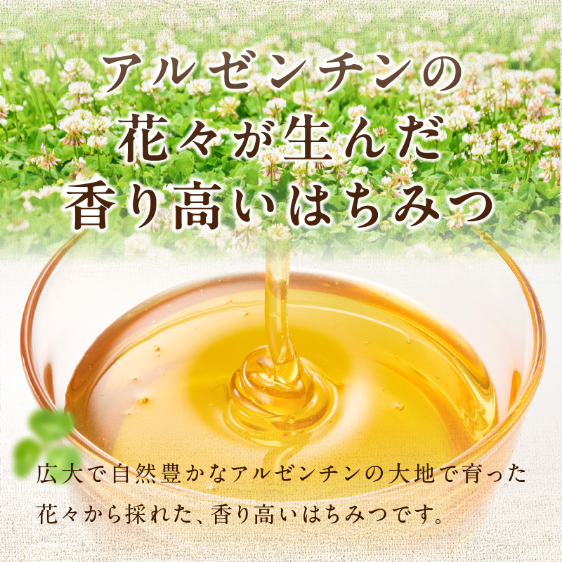 アルゼンチン産純粋はちみつ500g  はちみつ ハチミツ ハニー 蜂蜜 朝食 常温 保存 備蓄 防災食 非常食 防災グッズ 福岡県 八女市