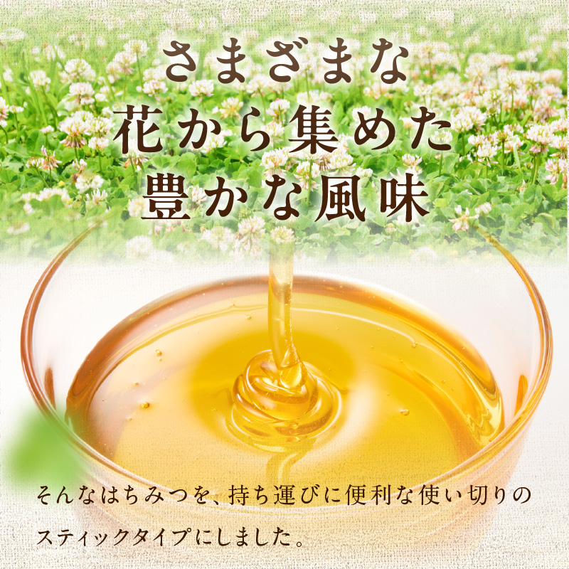 はちみつスティック（10g×5本入り）×10袋【メール便】  はちみつ ハチミツ ハニー 蜂蜜 使い切り 小分け 便利 手軽 持ち運び 常温 保存 備蓄 防災食 非常食 防災グッズ 福岡県 八女市