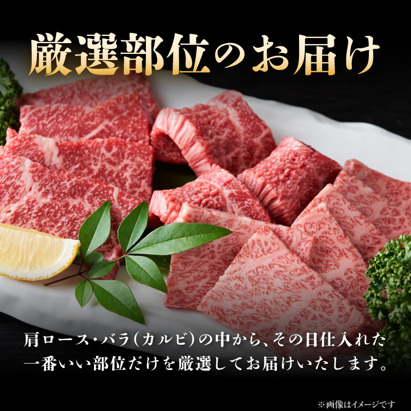 訳あり！【A4～A5】博多和牛焼肉切り落とし(肩ロース・バラ) 500g 肉 お肉 和牛 黒毛和牛 博多和牛 A4 A5 焼肉 肩ロース バラ カルビ BBQ バーベキュー 福岡県 八女市