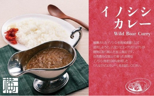 九州・福岡の上質なイノシシ肉を使用　八女ジビエイノシシカレー　お試し２食セット【中辛・辛口】
