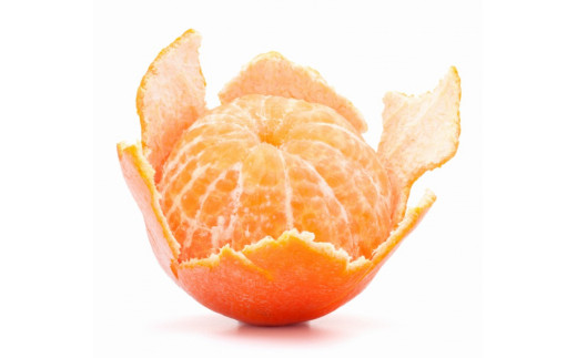 特別栽培 皮なし 冷凍ミカン 3kg