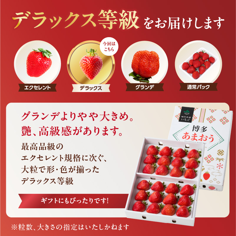 【2025年12月発送開始】博多あまおう700g（化粧箱）｜ＪＡふくおか八女 あまおう いちご 苺 イチゴ フルーツ 果物 くだもの 人気  旬 福岡県産 アフター補償 ギフト 化粧箱入り 贈答品 プレゼント 贈り物 数量限定 期間限定 産地直送 デラックス 福岡県 八女市