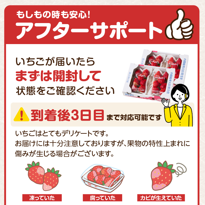 【先行受付：2026年2月発送開始】博多あまおうＧ270g×4パック｜ＪＡふくおか八女 あまおう いちご 苺 イチゴ フルーツ 果物 くだもの 人気 旬 福岡県産 大粒 アフター補償 数量限定 期間限定 産地直送 グランデ 福岡県 八女市