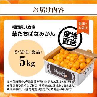 【先行予約】【2025年12月発送開始】華たちばなみかん 5kg｜ＪＡふくおか八女 蜜柑 ミカン 秀品 福岡 果物 フルーツ 先行予約 家庭用 自宅用 送料無料 数量限定 期間限定
