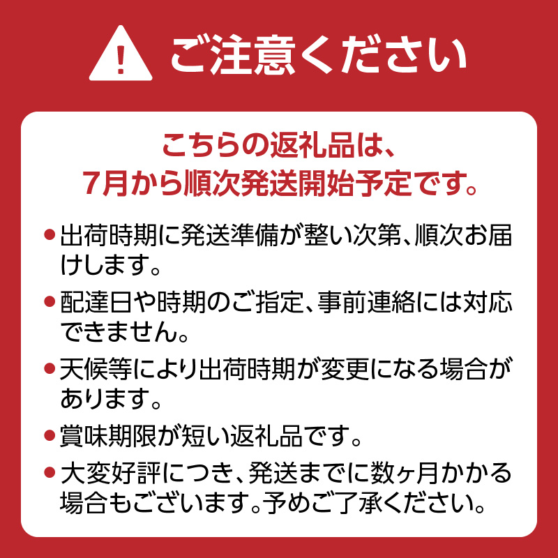 【先行受付】＜福岡のスモモ＞貴陽【1.2kg】【JAふくおか八女】※7月上旬～発送予定 すもも フルーツ 産地直送 高糖度 糖度18度 美味しい 濃厚 甘酸っぱい 旬 先行予約 数量限定 期間限定 クール便 冷蔵配送