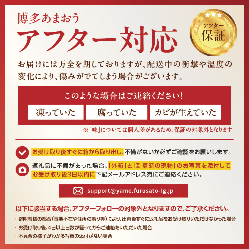 【先行受付：2026年2月発送開始】博多あまおうＧ270g×10パック｜ＪＡふくおか八女 あまおう いちご 苺 イチゴ フルーツ 果物 くだもの 人気  旬 福岡県産 大粒 アフター補償 数量限定 期間限定 産地直送 グランデ 福岡県 八女市