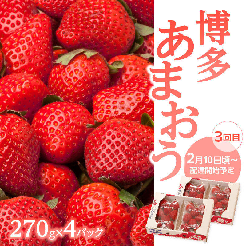 福岡冬の果物定期便【全3回】冬のお届け便　JAふくおか八女からお届け！！ みかん ミカン キウイ あまおう いちご 苺 イチゴ フルーツ 果物 くだもの 人気 旬 福岡県産 アフター補償 数量限定 期間限定 産地直送 全3回 定期便 福岡県 八女市