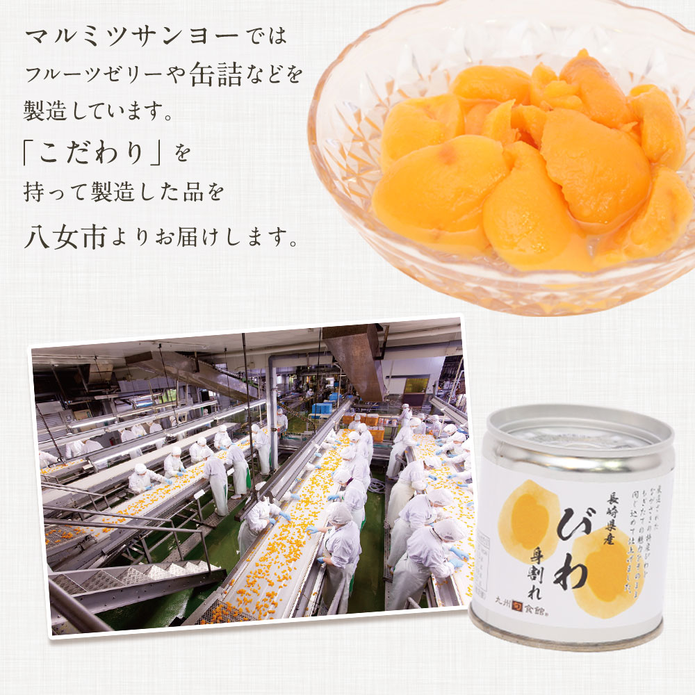 ★年内お届け★びわ缶詰身割れ 12缶入 年内配送 年内お届け 2025年 年末 年内発送