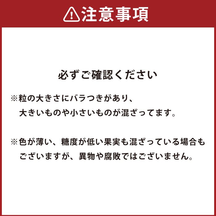 かの蜂 国産 【訳あり】 冷凍ブルーベリー2kg （1kg×2袋） 八女市産 ブルーベリー  国産 ブルーベリー 冷凍 フルーツ 八女市特産品 ヘルシー おやつ 栄養豊富 食物繊維 ビタミンC