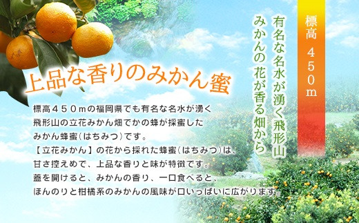 ＜国産＞かの蜂 みかん蜂蜜1.2kg【600g×2個】福岡県八女市で収獲した完熟みかん蜂蜜