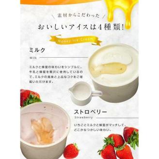 【冷凍】 かの蜂 国産はちみつ アイスクリーム 12個セット （4種×3個） ミルク チョコレート ストロベリー ピスタチオ｜ジェラート 蜂蜜の自然な甘さ＜配送不可：北海道・沖縄・離島＞