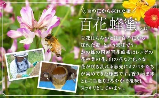 【全6回】 定期便 かの蜂 国産 百花蜂蜜 合計6kg（とんがり容器1kgを毎月1本お届け） 純粋はちみつ ハチミツ 非加熱 ハニー 大容量 定期便 美容 健康 自然食品 福岡県
