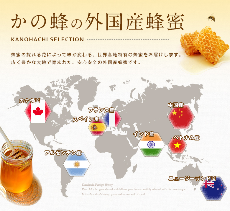 【全6回】 定期便（EU2kg） かの蜂 純粋蜂蜜 合計12kg（ヨーロピアンセレクション2kgを毎月1本お届け）