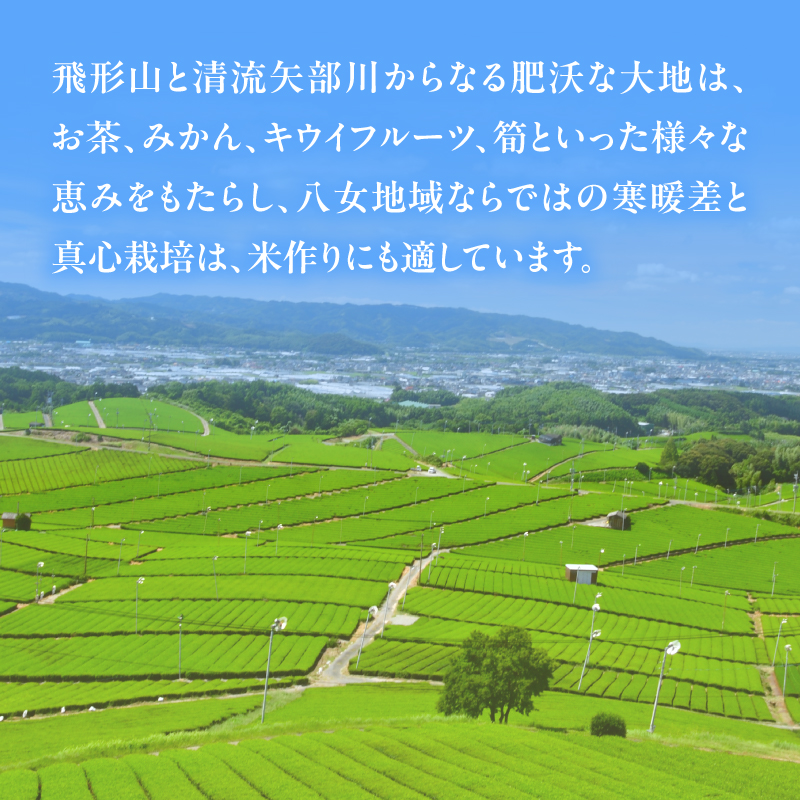 八女産ヒノヒカリ 5kg！ 清流矢部川と大地の恵み 米 白米 ご飯 粘り 甘み コク