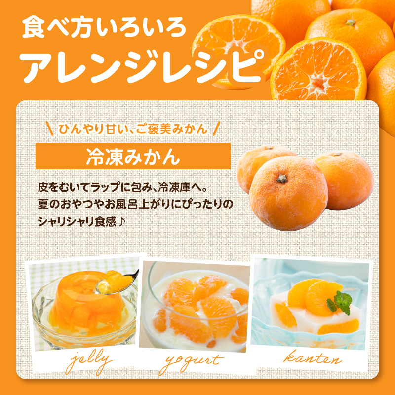 ＜道の駅たちばなオリジナル＞みかん10kg詰合せ 早生みかん 中生みかん 晩生みかん ミカン オレンジ 果物 フルーツ