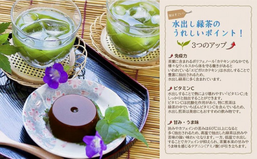 古賀製茶本舗　八女茶の一番茶だけで作った　水出し煎茶ティーバッグ　たっぷり５ｇ×７５個入 八女茶 煎茶 緑茶 免疫力 ビタミンC ティーバッグ