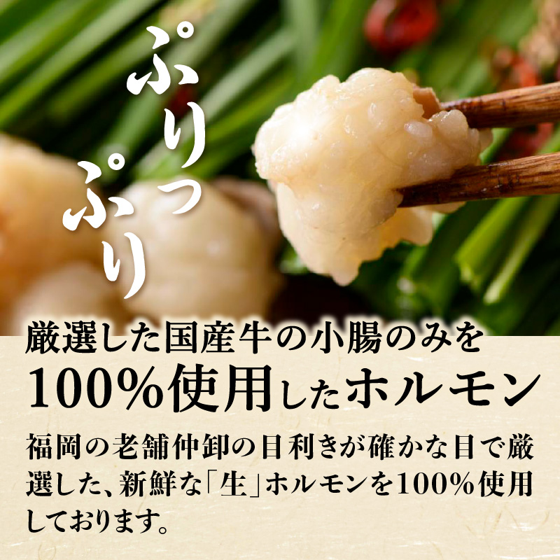 【芳々亭】もつ鍋2～3人前セット（味噌味）  モツ もつ ホルモン もつ鍋 国産 厳選 絶品 お取り寄せ 人気 専門店 福岡県 八女市