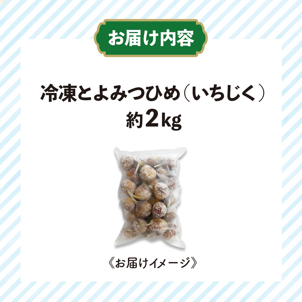 冷凍とよみつひめ（いちじく）約2kg  いちじく とよみつひめ 冷凍 1kg 2袋 小分け クール便 冷凍配送 デザート シャーベット スムージー ジャム パン お菓子作り アレンジ デザート フルーツ 福岡県 八女市
