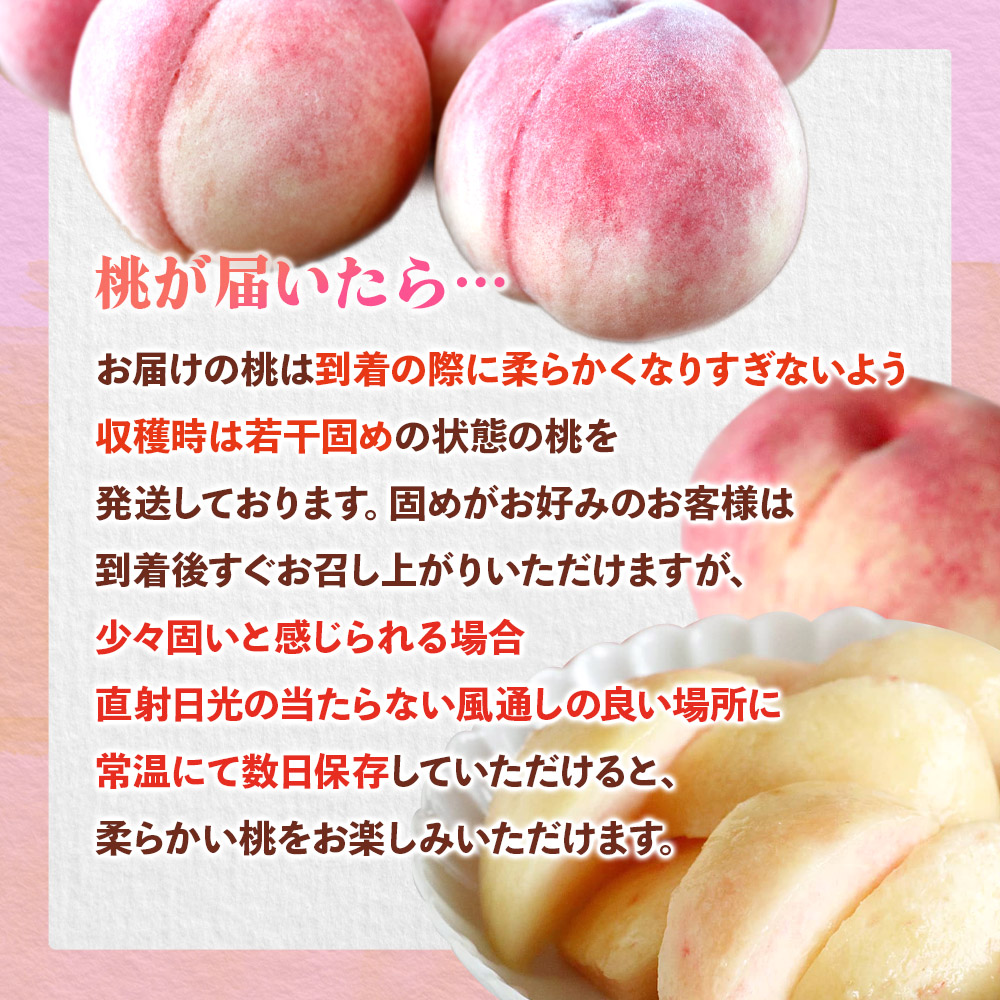 九州・福岡フルーツ王国八女　お試し旬のフルーツ定期便【全２回】 E｜＜配送不可：北海道・沖縄・離島＞  あまおう いちご 苺 イチゴ もも 桃 果物 フルーツ 旬 もぎたて 定期便 福岡 八女