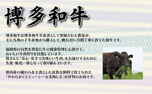 【福岡の国産黒毛和牛】博多和牛の焼肉・BBQお楽しみ定期便【全１２回】