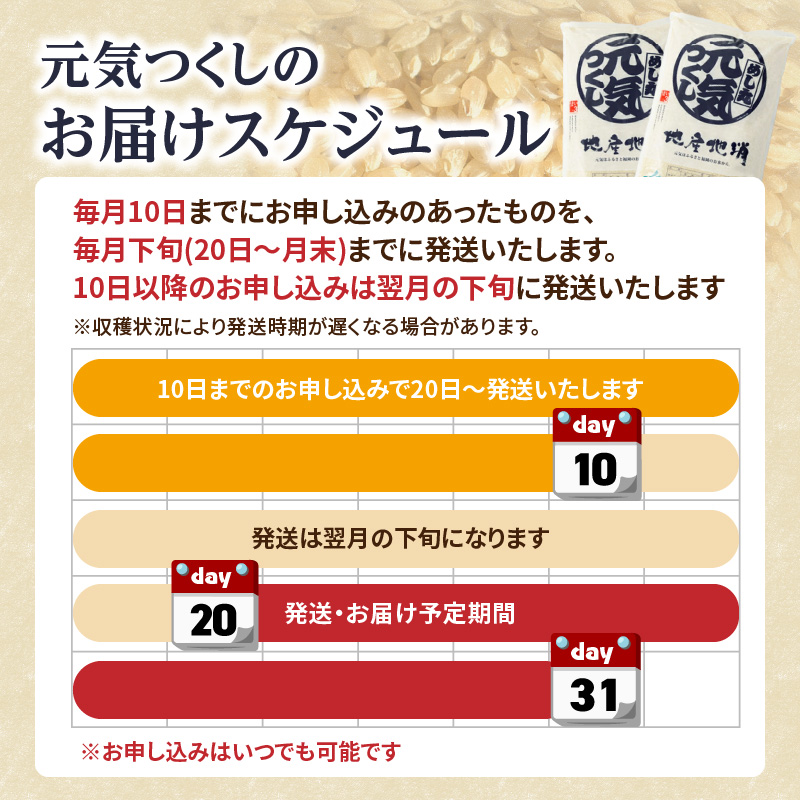 九州・福岡からお届け！ブランド米「元気つくし」定期便 10kg(5㎏×2)【全12回】  お米 米 コメ 白米 特A 直送 お弁当 おにぎり 炊きたて ツヤ 粘り もちもち 弾力 卵かけご飯 福岡県 八女市