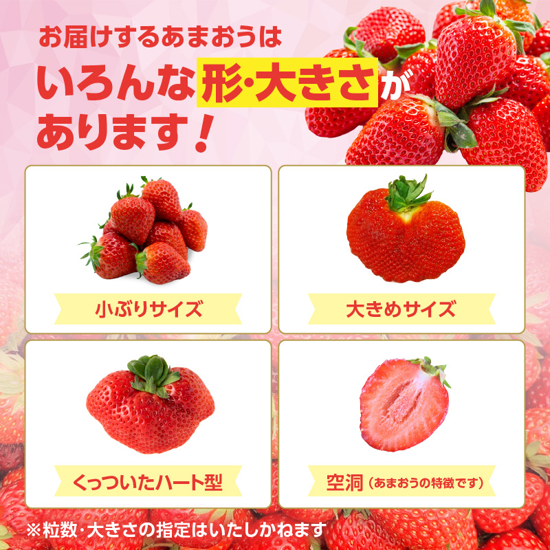 ＜2026年1月～順次発送＞いちご姉妹【あまおう＋旬のイチゴ】食べ比べセット★数量限定★  あまおう いちご 苺 イチゴ フルーツ 果物 くだもの 人気 旬 福岡県産 食べ比べ 採れたて 2品種 セット 冷蔵配送 箱入り 贈答品 プレゼント 贈り物 産地直送 福岡県 八女市