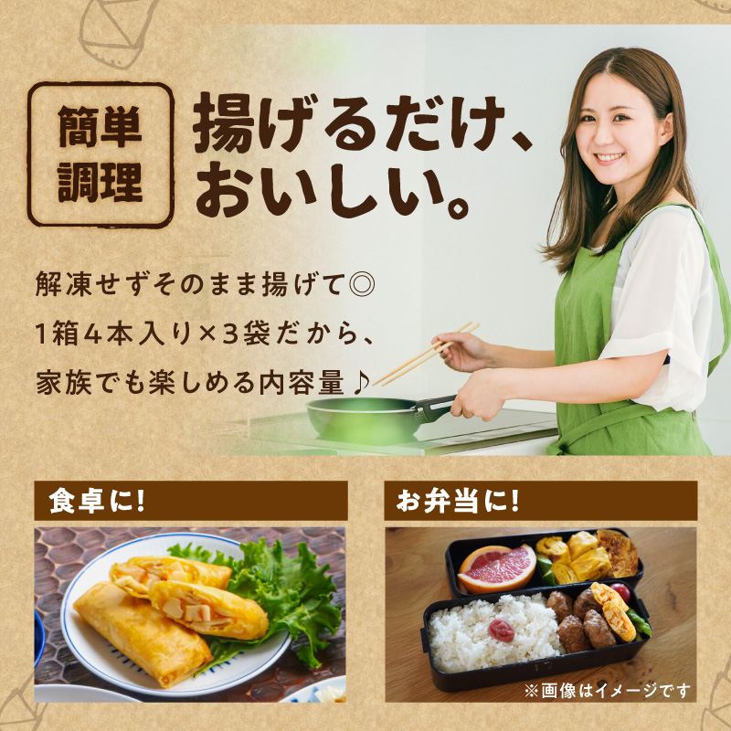 たけのこ春巻き12本セット 総菜 おかず お弁当 夕食 おつまみ 揚げるだけ 簡単 簡単調理 たけのこ 筍 小分け 使い切り 食べきり 福岡県 八女市