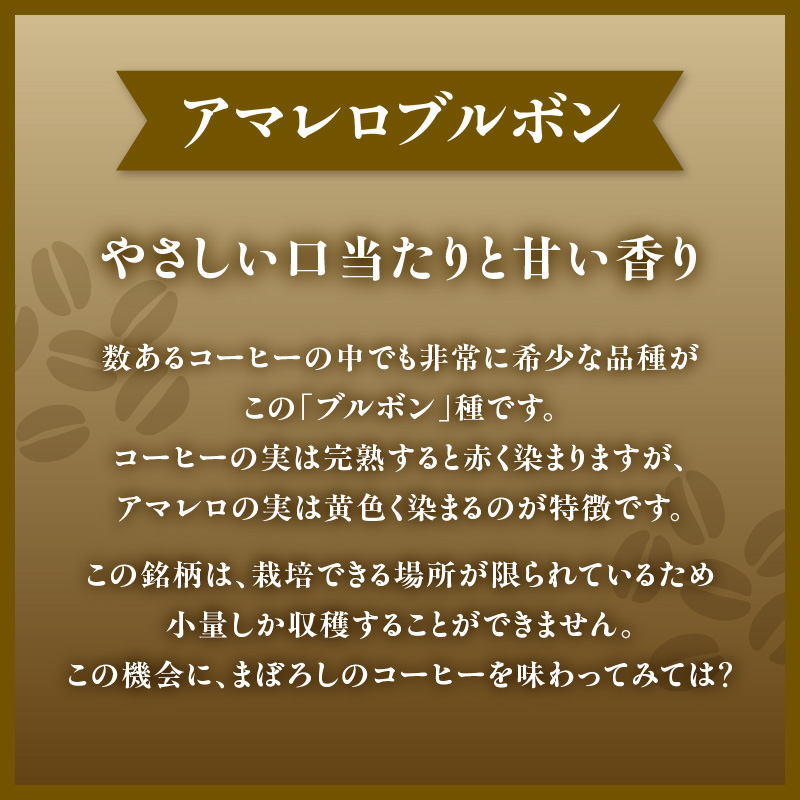 レギュラーコーヒー【粉】3種詰め合わせセット（店主が選んだおすすめ珈琲）【レターパック】  コーヒー 珈琲 粉 コーヒー粉 深煎り すっきり お家カフェ リラックス 福岡県 八女市