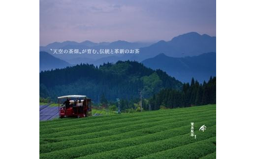 八女伝統本玉露（GI）～匠たくみ～ラ・フィーネ缶　80g