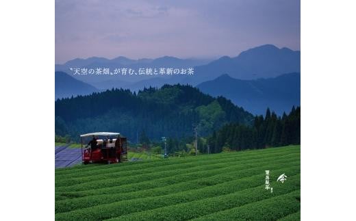 八女伝統本玉露　～伝でん～ラ・フィーネ缶80g