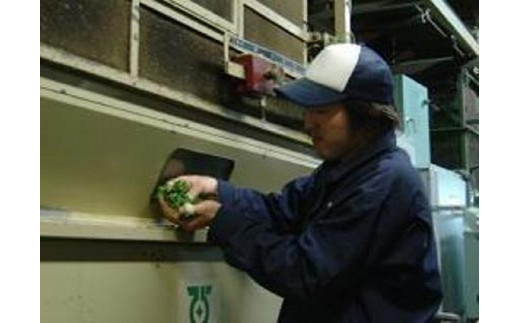 奥八女紅茶『紅・八女津媛』ラフィーネ缶