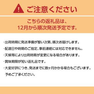 【先行予約】【2025年12月発送開始】華たちばなみかん 5kg｜ＪＡふくおか八女 蜜柑 ミカン 秀品 福岡 果物 フルーツ 先行予約 家庭用 自宅用 送料無料 数量限定 期間限定