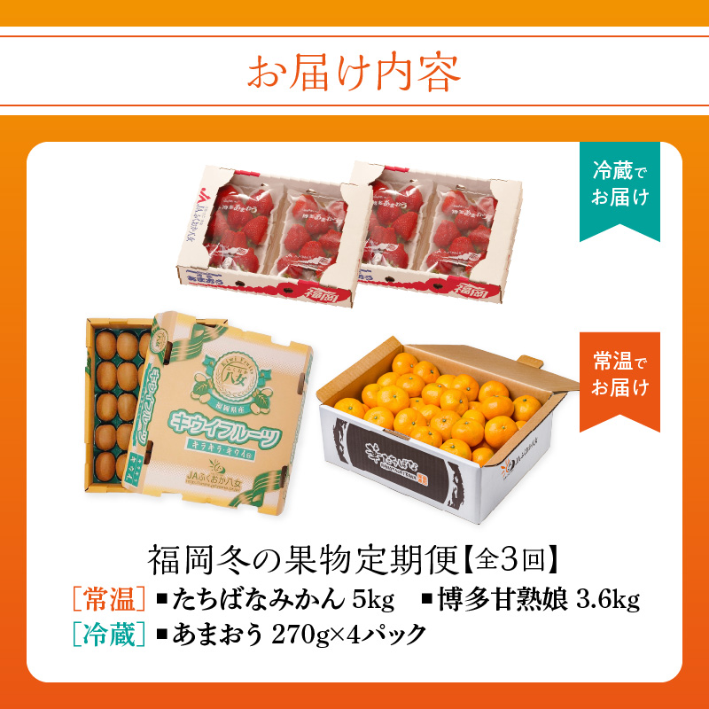 福岡冬の果物定期便【全3回】冬のお届け便 JAふくおか八女からお届け！ みかん ミカン キウイ あまおう いちご 苺 イチゴ フルーツ 果物 くだもの 人気 旬 福岡県産 アフター補償 数量限定 期間限定 産地直送 全3回 定期便 福岡県 八女市