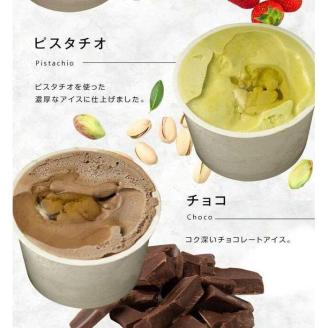 【冷凍】 かの蜂 国産はちみつ アイスクリーム 12個セット （4種×3個） ミルク チョコレート ストロベリー ピスタチオ｜ジェラート 蜂蜜の自然な甘さ＜配送不可：北海道・沖縄・離島＞