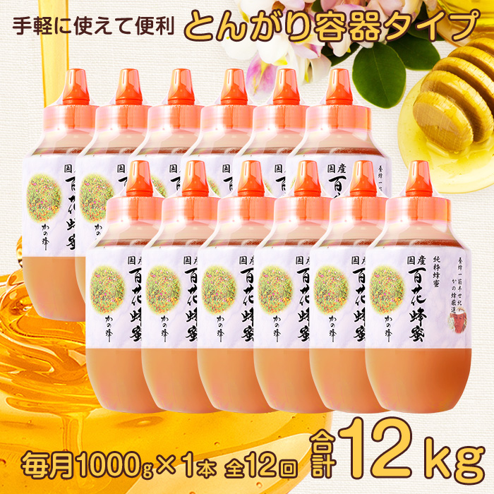 【全12回】定期便 かの蜂 国産 百花蜂蜜 12kg（とんがり容器1kgを毎月1本お届け）