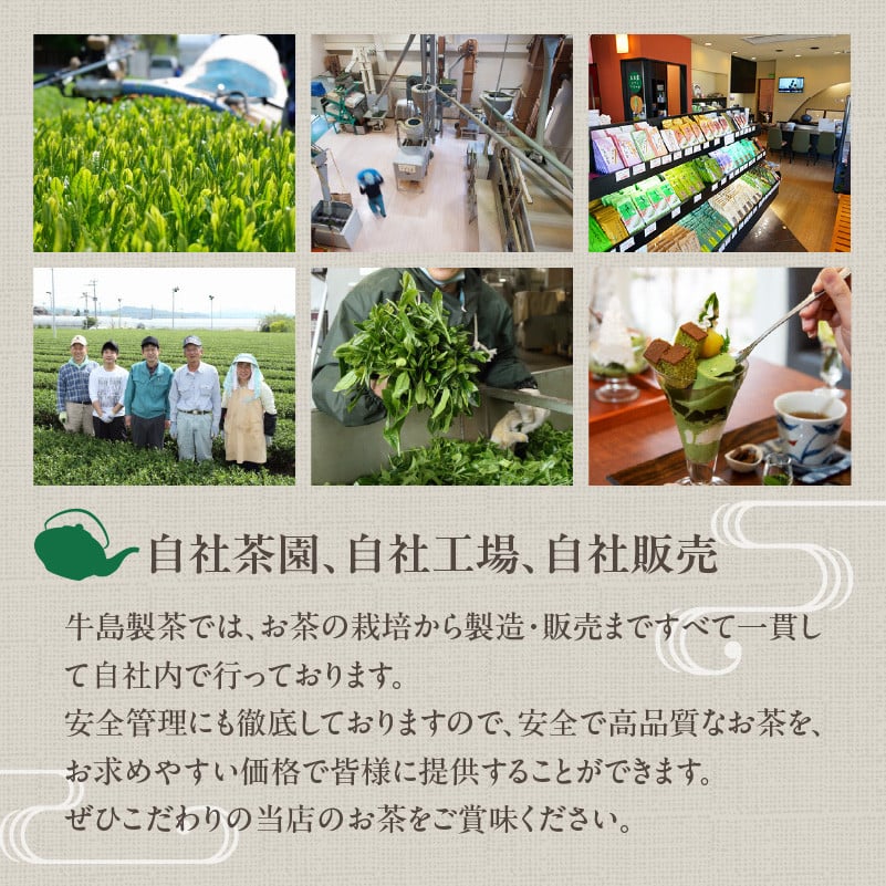 【有機認証取得】福岡八女抹茶50g オーガニック粉末茶【レターパック】  茶 お茶 八女茶 抹茶 粉末 有機JAS認証 オーガニック 茶葉 茶道 パン作り お菓子作り 福岡県 八女市