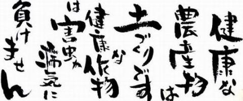 ＜農薬不使用八女茶＞極　煎茶初花詰合せ＜80g×2本＞