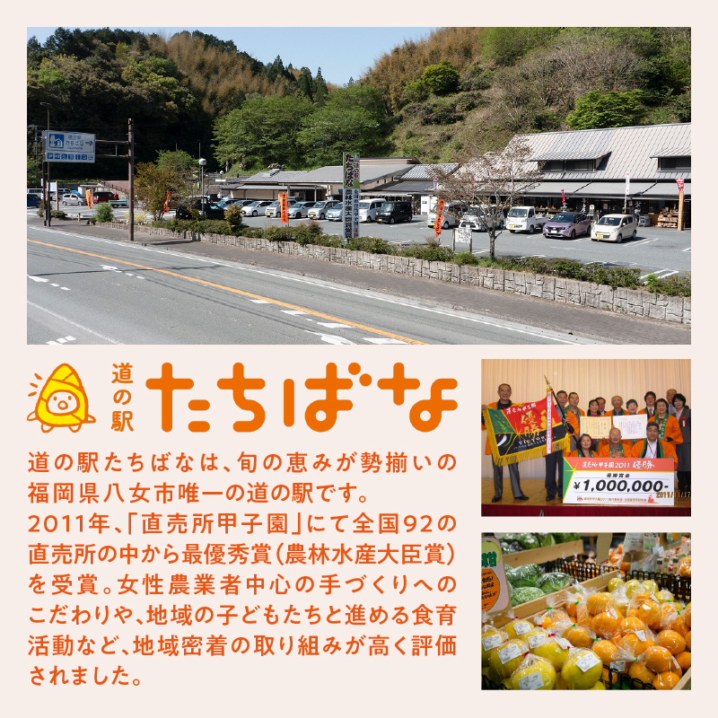 ＜道の駅たちばなオリジナル＞みかん1kg詰合せ 早生みかん 中生みかん 晩生みかん ミカン オレンジ 果物 フルーツ