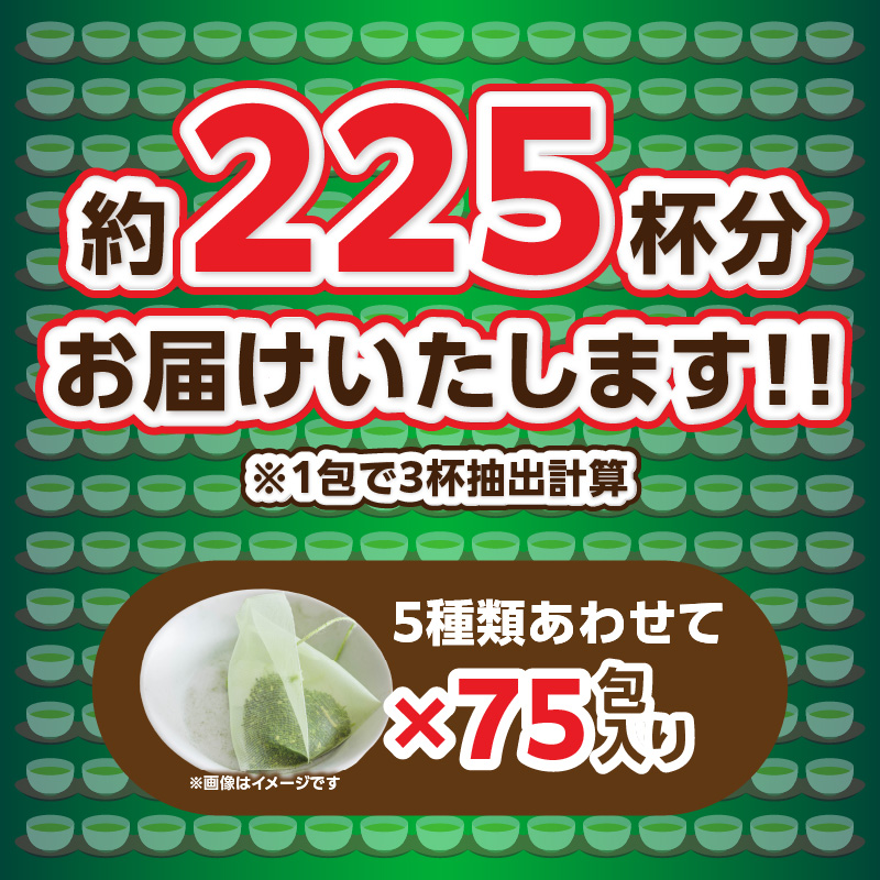 八女茶の老舗・古賀製茶本舗 5種類のティーバッグ たっぷり75包入り 茶 お茶 日本茶 緑茶 八女茶 飲み比べ 玉露 煎茶 ほうじ茶 和紅茶 玄米茶 福岡県 八女市