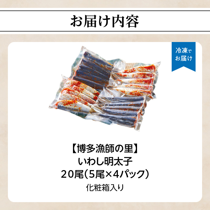 【博多漁師の里】いわし明太子２０尾（５尾×４パック）化粧箱入り 化粧箱入り 国産真いわし使用 鰯 イワシ 旬 魚 めんたいこ ご飯のお供 おつまみ おかず 冷凍 真空パック 便利 簡単調理 美味しい