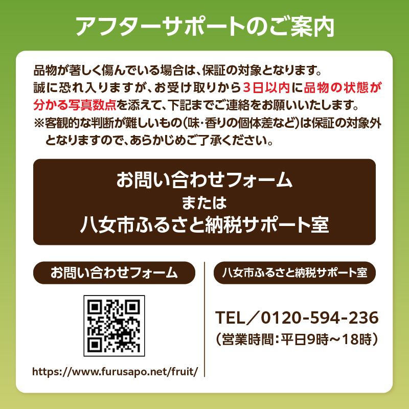 【先行受付】【2026年9月～10月頃順次発送】福岡県オリジナル品種 高糖度プレミアムいちじく 「とよみつひめ」約1.2kg ＜配送不可：北海道・沖縄・離島＞