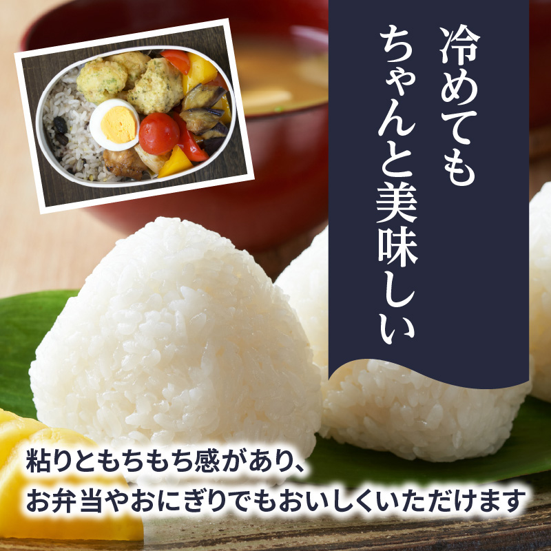 九州・福岡からお届け！ブランド米「元気つくし」 10kg(5㎏×2)  お米 米 コメ 白米 特A 直送 お弁当 おにぎり 炊きたて ツヤ 粘り もちもち 弾力 卵かけご飯 福岡県 八女市