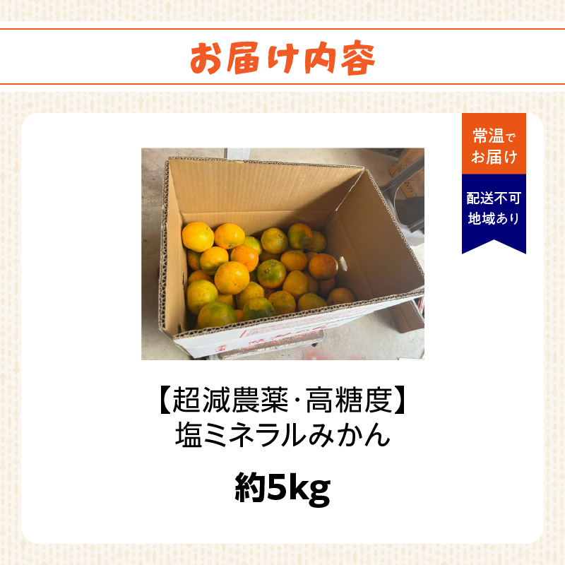 【超減農薬・高糖度】塩ミネラルみかん 約5kg ＜配送不可：北海道・沖縄・離島＞  みかん ミカン 蜜柑 フルーツ 美味しい 超減農薬 福岡県 八女市
