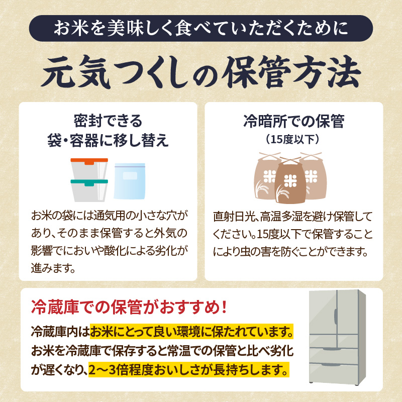 九州・福岡からお届け！ブランド米「元気つくし」定期便 10kg(5㎏×2)【全10回】  お米 米 コメ 白米 特A 直送 お弁当 おにぎり 炊きたて ツヤ 粘り もちもち 弾力 卵かけご飯 福岡県 八女市