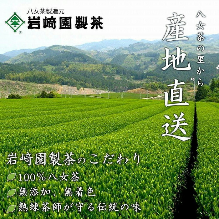 【2026年産 新茶予約】八女茶100％ 特選八十八夜新茶 100g缶詰×２ ギフト包装 ＜岩崎園製茶＞ ｜2026年5月初旬頃発送