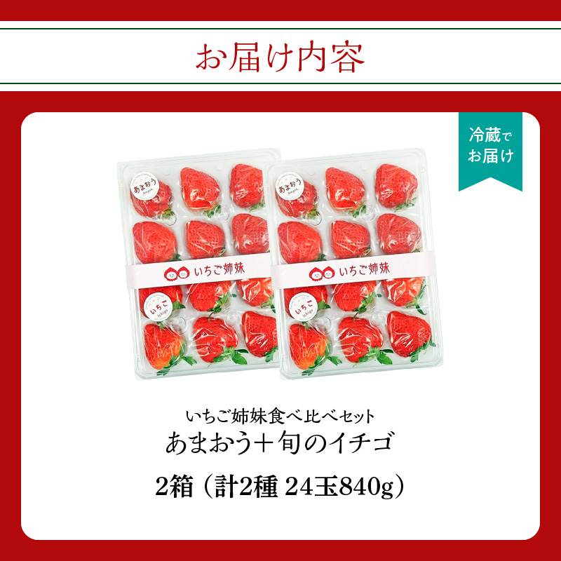 ＜2026年1月～順次発送＞いちご姉妹【あまおう＋旬のイチゴ】食べ比べセット★数量限定★  あまおう いちご 苺 イチゴ フルーツ 果物 くだもの 人気 旬 福岡県産 食べ比べ 採れたて 2品種 セット 冷蔵配送 箱入り 贈答品 プレゼント 贈り物 産地直送 福岡県 八女市