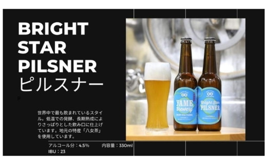 クラフトビール 飲み比べ2種6本 【ピルスナー 銀賞受賞 / ぶどうIPA 銅賞受賞】 福岡 八女ブルワリー