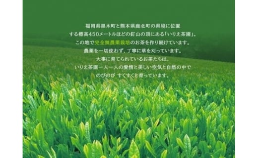 ＜農薬不使用八女茶＞あれこれティーバッグ 3種詰合せ