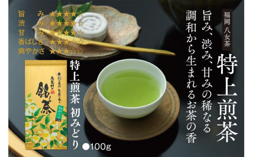 【八女・お茶村】特上煎茶《初みどり》と玉露《すずか》玉露入り旨味だしのセット