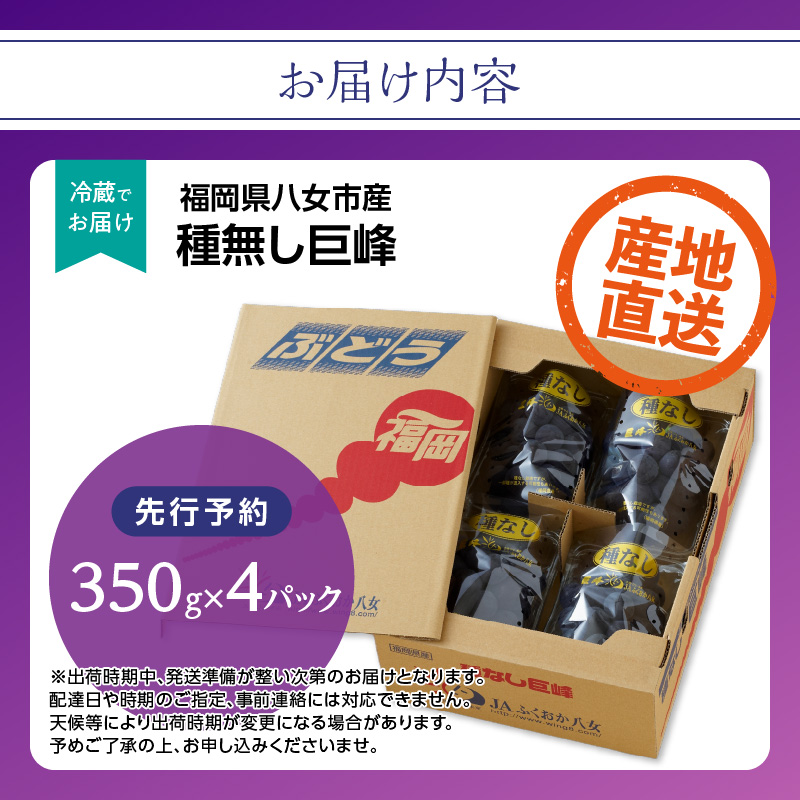 種なし 巨峰 約1.4kg（350g×4パック）｜2026年7月上旬～発送予定 産地直送 朝採れ 種なし 甘い ジューシー 大粒 数量限定 冷蔵 ぶどう ブドウ 葡萄 デザート 果物 くだもの フルーツ もぎたて スイーツ 九州 福岡県 八女市